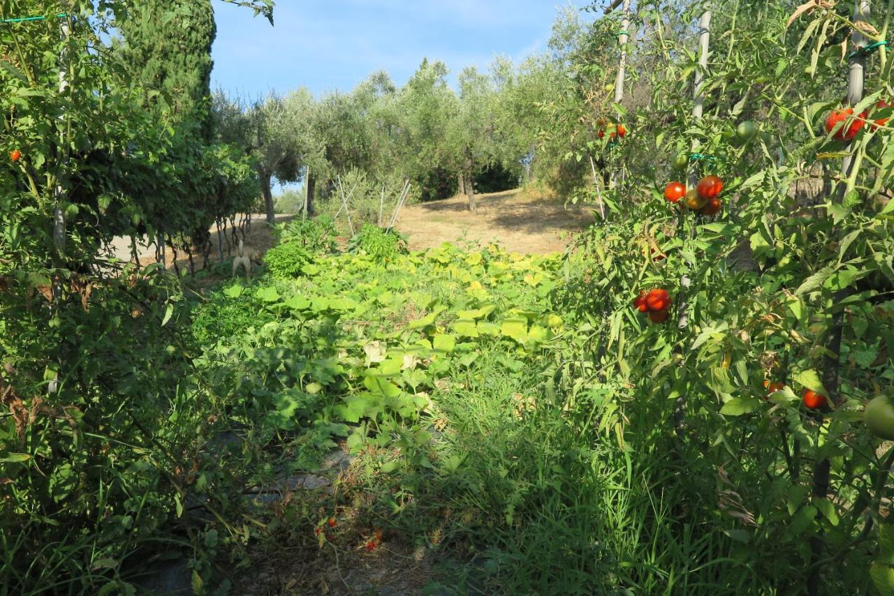Banks 1 Villa Vezzano Ligure Luaran gambar