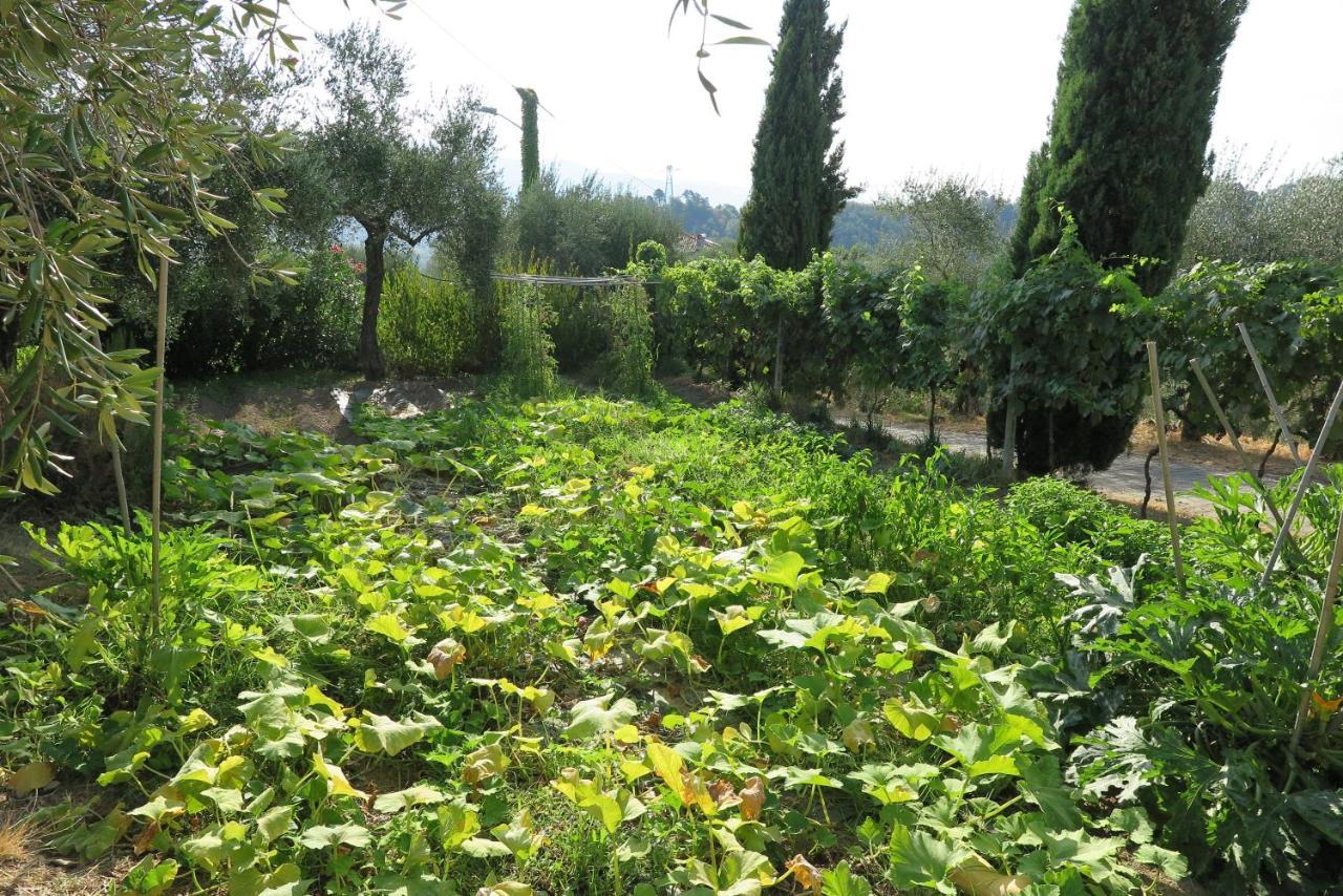 Banks 1 Villa Vezzano Ligure Luaran gambar
